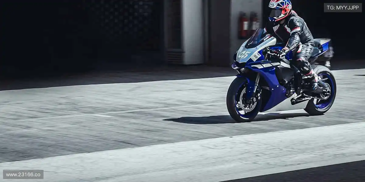 精彩纷呈，尽在掌握！🎥✨